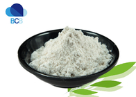 Dissolves Phlegm 99% Bromhexine Hydrochloride Powder CAS 611-75-6