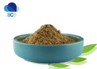 Echinacea Extract Powder Dietary Supplements Ingredients Herb Chicoric Acid 4%