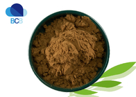 Hawthorn Extract Powder Dietary Supplements Ingredients Maslinic Acid 30%