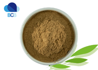 Improve Male Sexual Function 99% Tongkat Ali Extract Powder 100:1 200:1