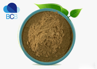 Dandelion Root Extract Powder Dietary Supplements Ingredients Herb Flavonoids 5%