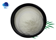 Pharmaceutical Antipyretic Analgesic API 99% Meloxicam Powder CAS 71125-38-7