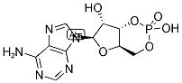 腺苷-3'-5'-环磷酸